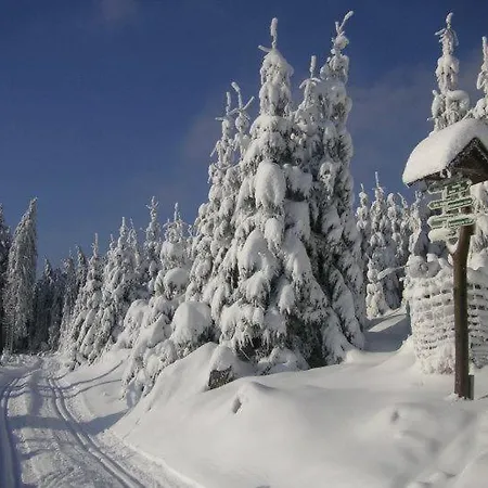 Villa Silva - Oberhof Отель Оберхоф