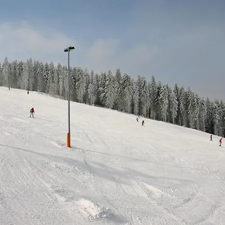 Отель Villa Silva - Oberhof 4*